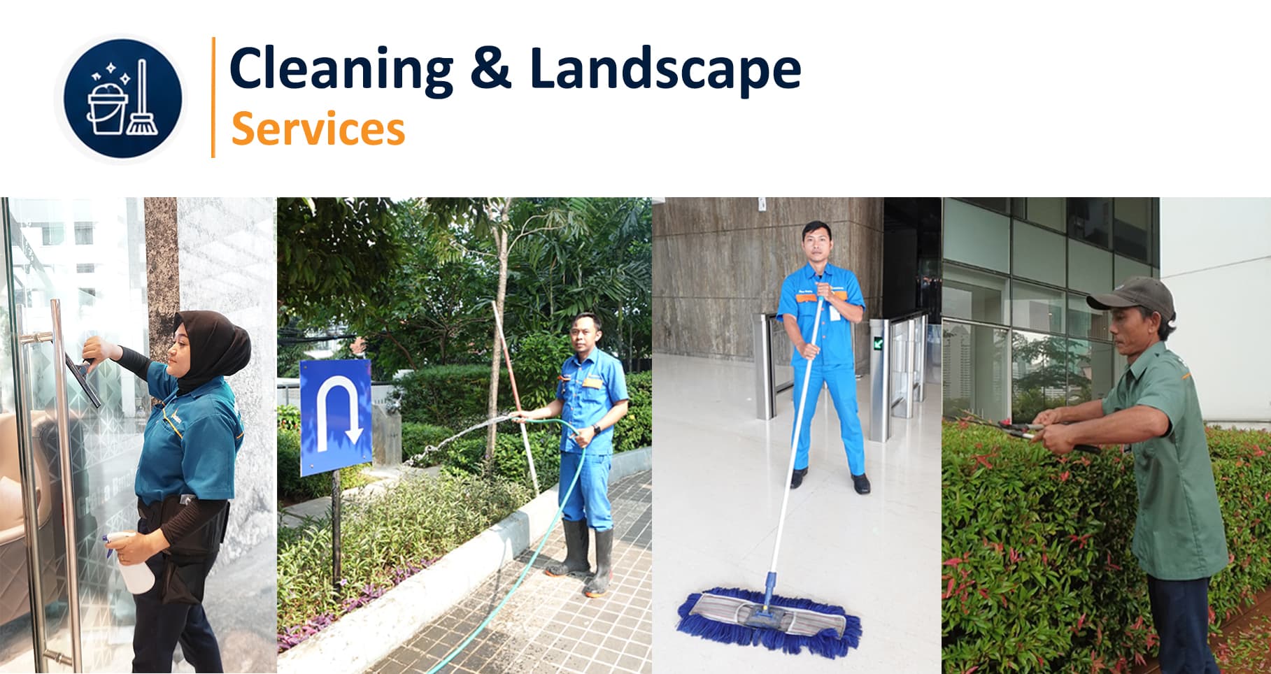 Cleaning & Landscape